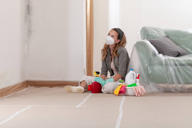 Reliable Mold Cleanup contractor in Pope Army Airfield, NC by Cheap Mold Removal